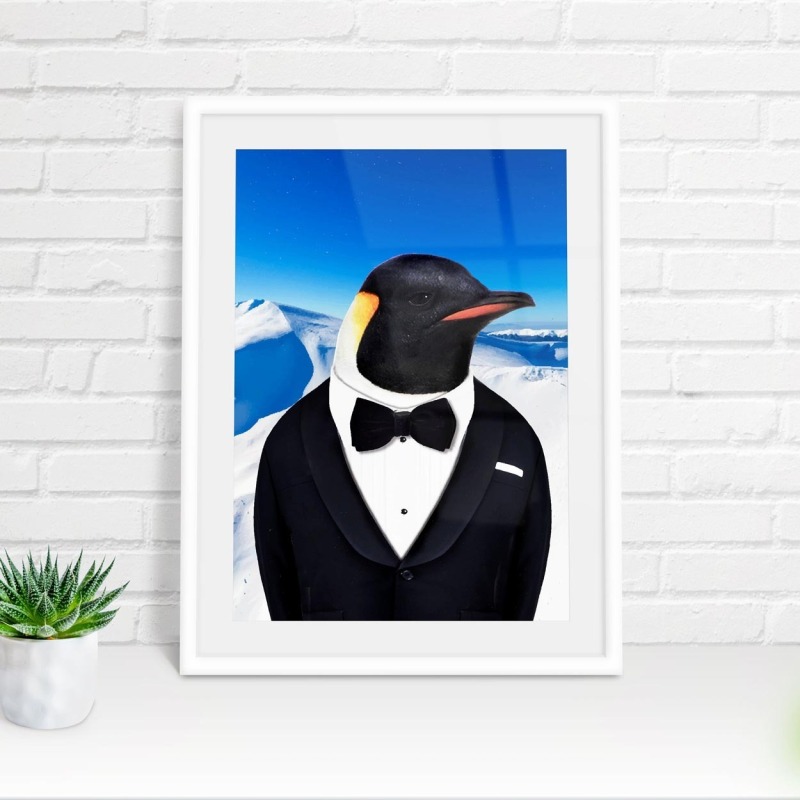 Penguin in clothes, animal print, wall art - A5 - Glossy - Glacier