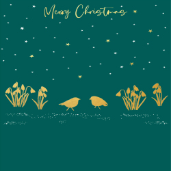 Holy Mackerel robins & snowdrops gold foiled luxury Christmas card - designed by Eloise Hall - 15.7 x 11cm - blank inside
