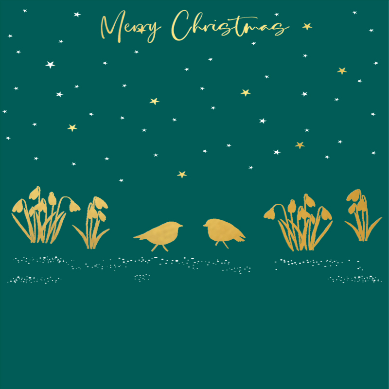 Holy Mackerel robins & snowdrops gold foiled luxury Christmas card - designed by Eloise Hall - 15.7 x 11cm - blank inside