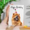 Birthday Card For Her Card For Friend Mum or Sister Birthday Card For Him Brother Dad Happy Birthday Card of Chow Chow Dog Fun Birthday Card - Large (5x7) / Blank Message