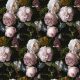 VICTORIAN ROSE - ANTIQUE