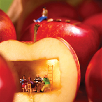 Apple House 150mm Square Greetings Card by Akiko Ida and Pierre Javelle