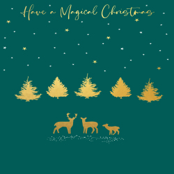 Holy Mackerel deer family gold foiled luxury Christmas card - designed by Eloise Hall - 15.7 x 11cm - blank inside