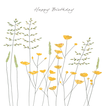 Holy Mackerel buttercups floral birthday card - designed by Eloise Hall - 15.7 x 11cm - blank inside