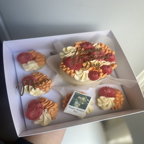 Bento Cake with 5 Cupcakes