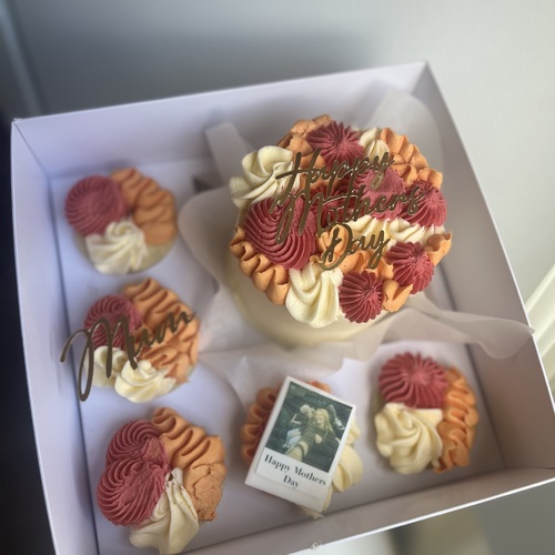 Bento Cake with 5 Cupcakes