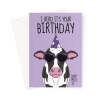 Funny Cool Cow Birthday Card For Her - A5 Portrait - 1 Card