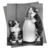 Milk thieves, vintage black & white photographic card featuring tabby cats drinking milk - 12.6 x 17.7cm and blank inside - made in the UK
