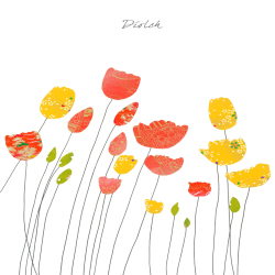 Tulips Diolch