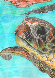 Sea Turtle - Personal Use License