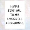 rude c*nt birthday card, funny card, offensive card, obscene card, card for best friend, favourite c*nt dickhead knobhead cockwomble - CUNT