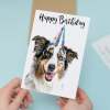 Birthday Card For Him or Her Fun Birthday Card of A Australian Shepherd Dog Happy Birthday Card For Mum, Dad, Sister Brother - Large (5x7) / Blank Message