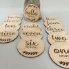 Baby Milestone Disc Set - New Baby Gift and Baby Shower Gifts / Wooden Photo Prop / Newborn Gift Ideas /Milestone Cards