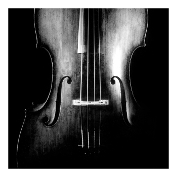 Holy Mackerel Cello retro black and white photographic card featuring a vintage image of a close up of the stringed instrument - 15cm square and blank inside