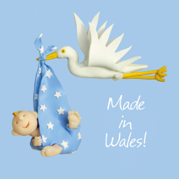Made in Wales - boy
