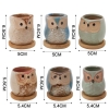 Cute Owl Bonsai Pots with Bamboo Tray