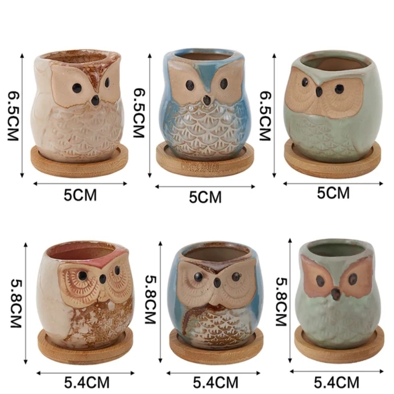 Cute Owl Bonsai Pots with Bamboo Tray