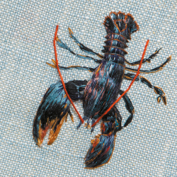 Native Lobster 150mm Square Greetings Card by Artist Sarah J Perry
