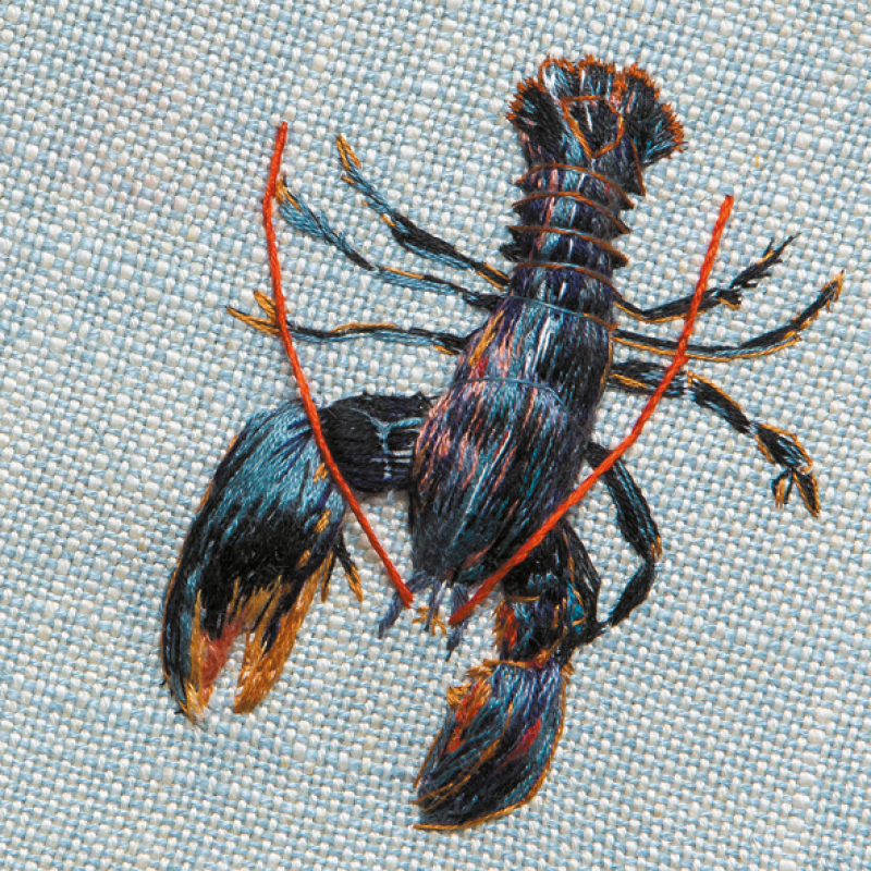 Native Lobster 150mm Square Greetings Card by Artist Sarah J Perry