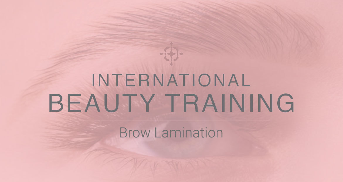 Eyebrow Lamination - Online Course