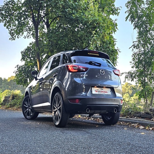 Mazda CX-3 2016 (66)