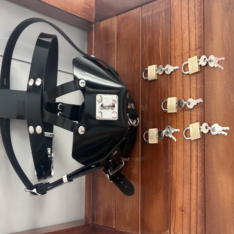 Lockable silicone bondage hood