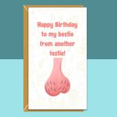 Funny Bestie Birthday Card - Personalised Best Friend Card - Ideal rude card for your mate