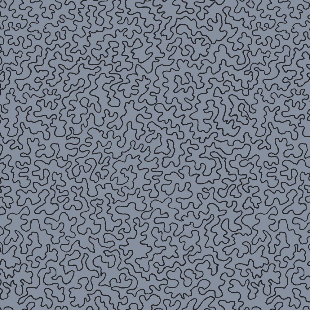 MAZIE-MAY-SILVER