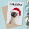 Fun Christmas Card of a Siamese Cat Wearing A Santa Hat Whimsical Christmas Card For Animal Lover For Him or Her - Portrait (5x7) / Blank Inside