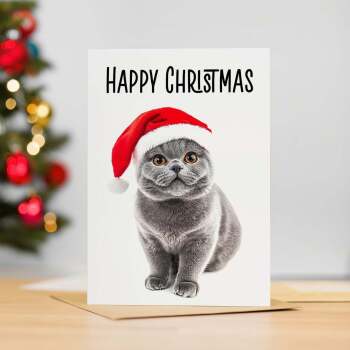 Fun Christmas Card of a British Shorthair Cat Wearing A Santa Hat Whimsical Christmas Card For Animal Lover For Him or Her