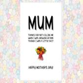 funny cheeky rude MOTHER'S DAY card - happy mother's day mum thank you for not killing me when I was growing up even though little shit card