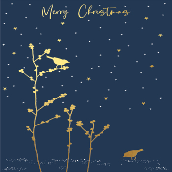 Holy Mackerel berries & birds gold foiled luxury Christmas card - designed by Eloise Hall - 15.7 x 11cm - blank inside