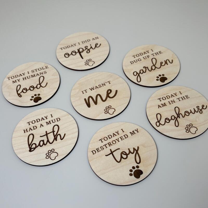 New Puppy Milestone Discs / Dog Lover New Dog gift / Reusuable Milestone Archievment Discs / Puppy Discs - Milestone Discs