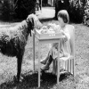 Holy Mackerel sharing a meal retro black and white photographic card featuring a vintage image of a little girl and her dog - 12.6 x 17.7cm and blank inside
