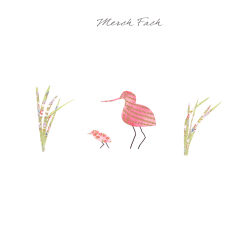 Avocet Merch Fach  (Baby Daughter)