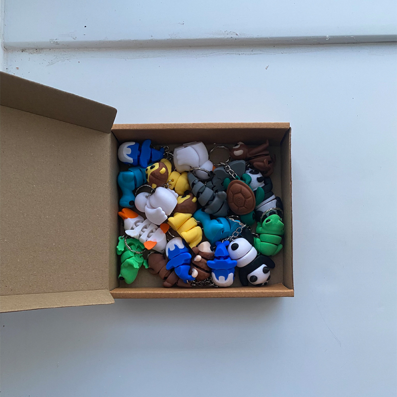 Mixed Keyring Box (20 Keyrings)