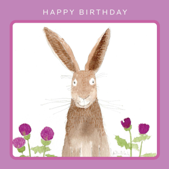 Holy Mackerel Confused Bunny nature and rabbit themed birthday card by Ailsa Black - 15cm square - blank inside