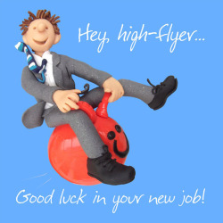 Holy Mackerel high flyer male new job card for him - designed by artist Erica Sturla - 15cm square and blank inside for your message - made in the UK
