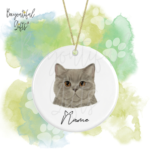 Personalised Watercolour Cat Face Round Ceramic Hanging Decoration - British Shorthair - Face 5