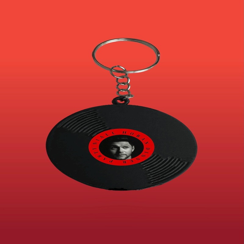 Niall Horan Vinyl 3D Print Keychains / Keyrings - Dinner Party 1