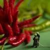 Chili Inferno 150mm Square Greetings Card by Akiko Ida and Pierre Javelle