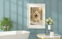 Personalised Pet Bathroom Themed Home Decor Print - A6