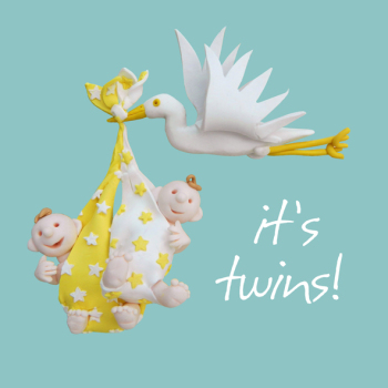 Holy Mackerel it's twins new baby card to celebrate two births - designed by artist Erica Sturla - 15cm square and blank inside for your message - made in the UK