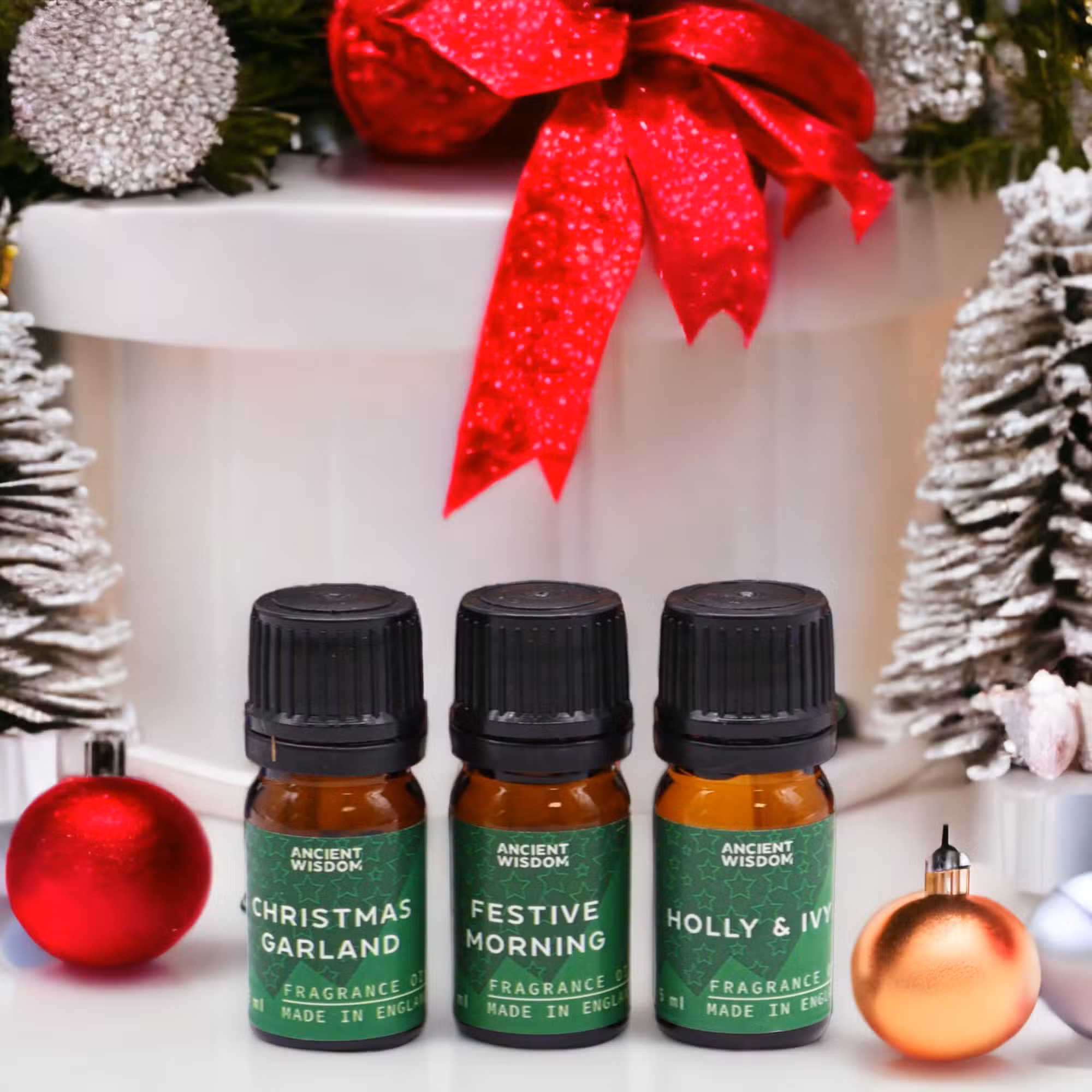 Holy Scents of Christmas Fragrance Oils Set - 12 Festive Oils