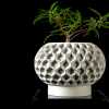 Hexa Planter Pot 02 - Matte Dark Green