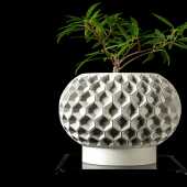 Hexa Planter Pot