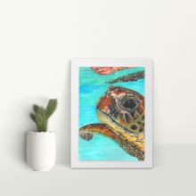 Sea Turtle - A4 Print - Mounted