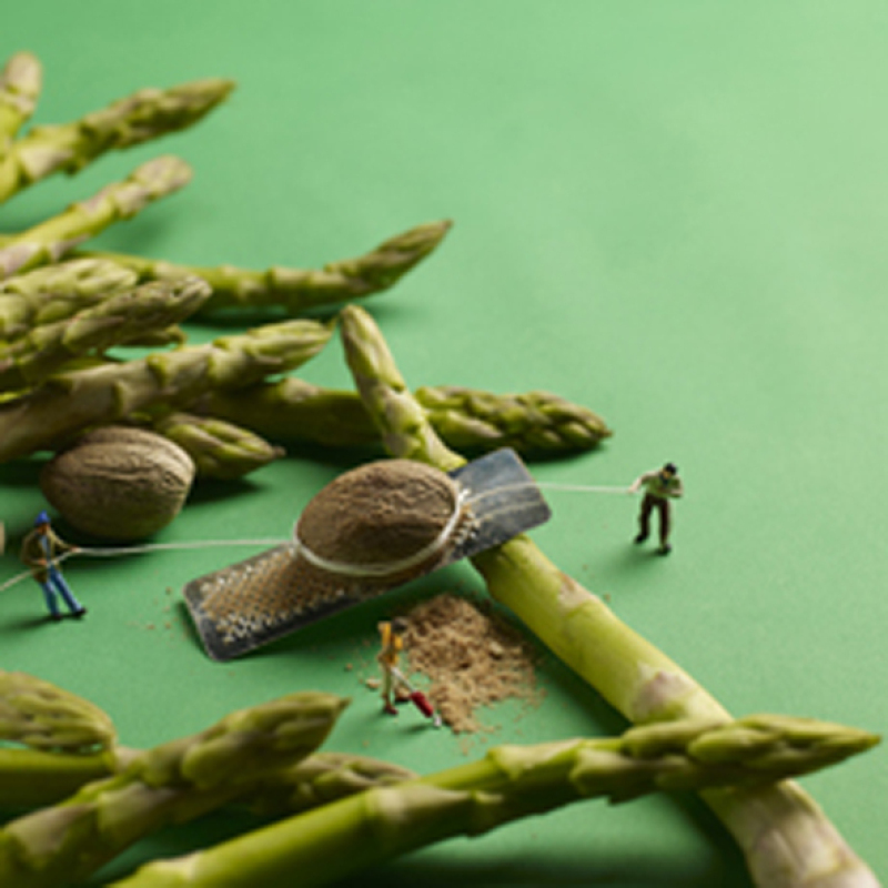 Nutmeg City Limits 150mm Square Greetings Card by Akiko Ida and Pierre Javelle