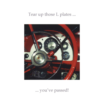 Driving test steering wheel