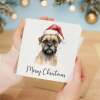 Fun Christmas Card of a Border Terrier Dog Wearing A Santa Hat Whimsical Watercolour Christmas Card For Animal Lover For Him or Her - Square (5.5x5.5) / Blank Inside